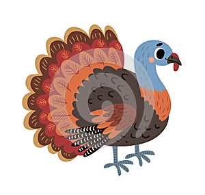 Vector turkey. Farm Bird. Vector illustration